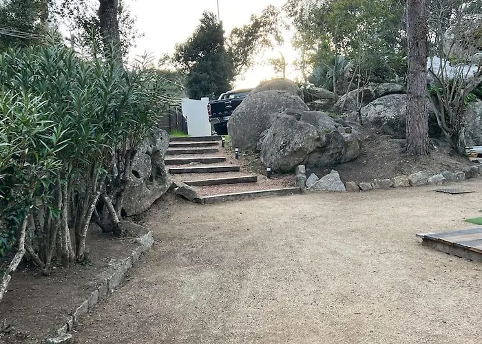 A Nepita Di Vecchio*** *