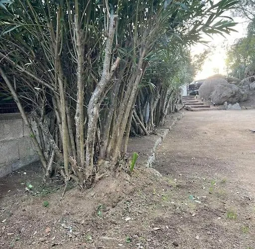 A Nepita Di Vecchio*** Hébergement de vacances